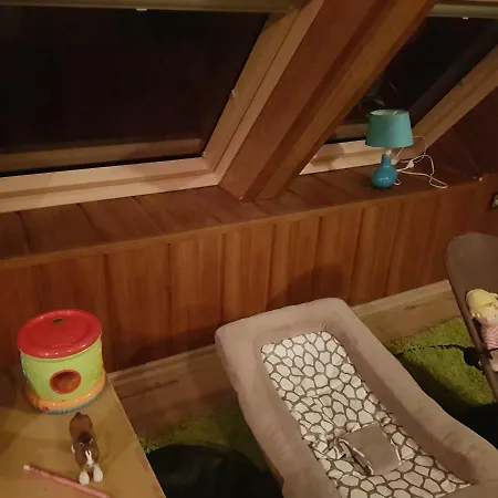 Alpesi faház Sunshine Chalet
