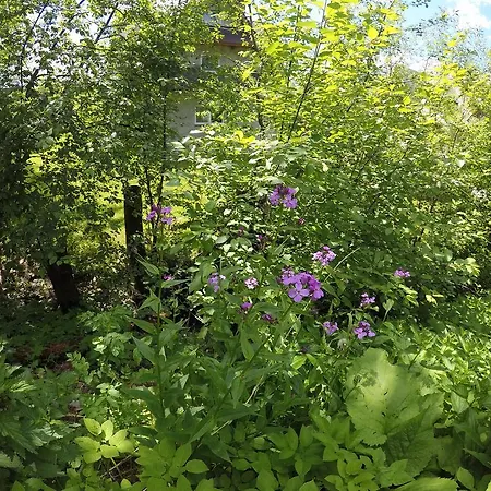 Sunshine Chalet זקופאנה