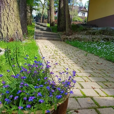 Sunshine Chalet Chalet