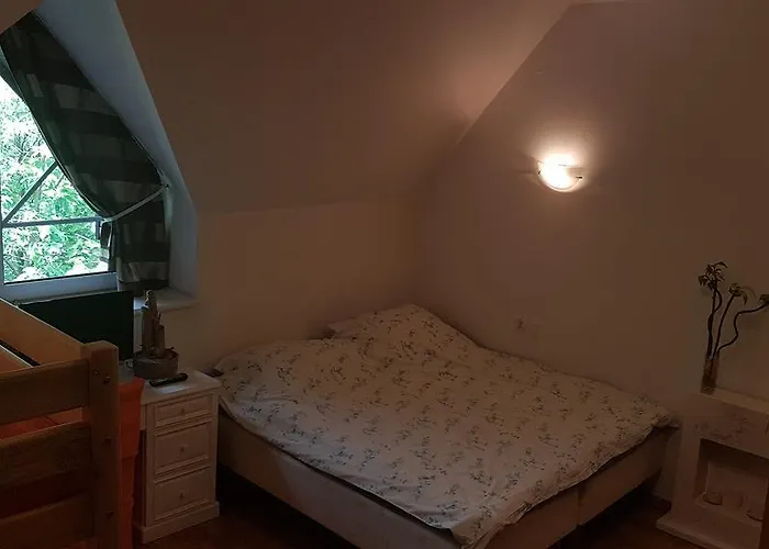 Sunshine Chalet シャレー ザコパネ