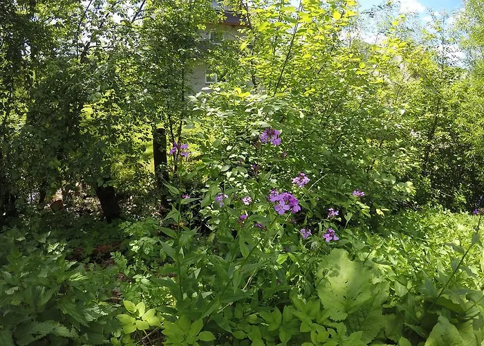 Sunshine Chalet ザコパネ