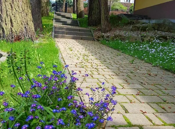 Sunshine Chalet シャレー