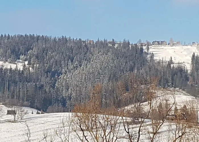 シャレー Sunshine Chalet ザコパネ